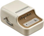 Niimbot B21 Pro