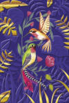 Editor Képeslap 11, 5x17, 4 cm Cest Chic Kolibri (AAD603)