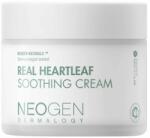 Neogen Real Heartleaf Soothing Krém