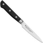 Satake Satoru Japán rozsdamentes hámozókés 59 HRC, 10 cm, laminált markolat (802-796)