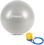 TREXO TXO-B4Z008-GY gimnasztikai labda 65 CM szürke