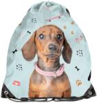 PASO tornazsák, kutyás, türkiz