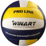 WINART Röplabda WINART Pro Line - 5-ös méret, fehér-sárga-kék (WINA0514)