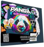Panta Plast Set de modelaj plastilină Splat Planet, Panda