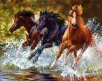 NORIMPEX - Puzzle Pictură cu diamant: Cai în râu 30x40cm - 1 - 39 piese
