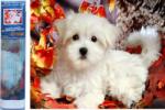 NORIMPEX - Puzzle Pictura cu diamant: Catel alb 30x40cm - 1 - 39 piese