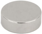 Magnetrend Magnet neodim disc 30mm x 10mm (10101610)
