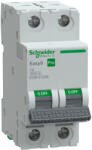 Schneider Electric Schneider Easy9 Pro kismegszakító 2P C 6A (EZ9F57206) (EZ9F57206)