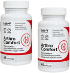 Lab-v LAB-V Arthro Comfort - Átfogó ízületi és mozgásszervi egészségi támogatás kutyáknak és macskáknak 2x45 kapszula