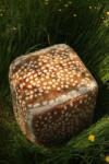 Doing Goods Пуф Doing Goods Fawn Pouf S (1.40.15.006.710.3)