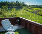  Kispince Wellness Borbirtok - elmenyplaza - 49 990 Ft