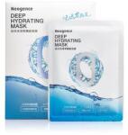 Neogence N9 prémium hialuronsavas mélyhidratáló fátyolmaszk 28 ml / tasak (5 tasak / doboz)
