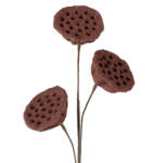  Mű lótusz termés 419 Bordó (451896)