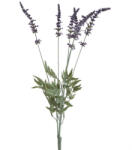  Réti zsálya művirág 384 Ibolyalila (432861)