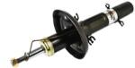 Magnum Technology Amortizor MAGNUM TECHNOLOGY AGW018MT (AGW018MT) - fixbox