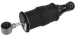 SACHS Amortizor, suspensie cabina SACHS 350 860 (350 860)
