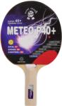 Giant Dragon Meteo_u23a (meteo_u23a)