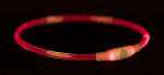 TRIXIE Flash Light Ring Usb S-m (12662)