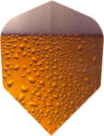 Windson Beer Plast 3 Buc (wd-fl-beer)