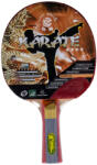 Giant Dragon Karate (karate-u7a)