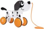 Hape Dalmatin (1088e0368)