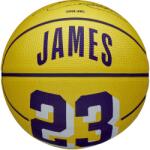 Wilson Nba Player Icon Mini Lebron (wz4027701xb)