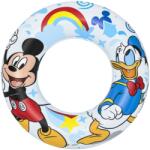 Bestway SWIM TUBE (91004-a)