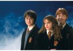  Harry Potter Poszter Young Wizards, 61x90cm, Többszínű (poster228-7777777777777785555)