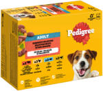 PEDIGREE 24x100g Pedigree Adult aszpikban 4 változattal nedves kutyatáp