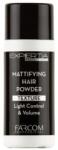 Expertia Mattifying Hair Powder hajpor, 14 g