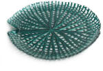  Mela dekoratív üveg tál Türkiz 19x3 cm (404937)