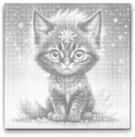  PontPöttyöző - Szivárványfekete cica Méret: 50x50cm, Keretezés: Műanyagtáblával, Szín: Zöld