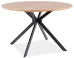  Masa de dining din stejar cu picioare negre ASTER 120x120