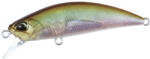 DUO SPEARHEAD RYUKI 50S 5cm 4.5gr GEA3006 Ghost Minnow