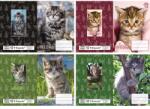T-Creativ Füzetborító betétes T-Creativ Kitten cicás minták 4x5 db/csomag (N12068TKI)