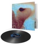 Pink Floyd Meddle - facethemusic - 11 690 Ft