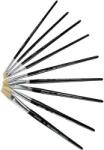 PULSE Ecset, no. 4, fa, PULSE, lapos (12 db) (PLS220213)
