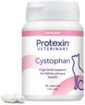 Protexin Cystophan, capsule (Ambalaj: 30 capsule) (73136809)