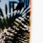 Mier, Julien Gradually