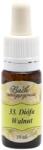 Bach Bach virágterápia, 10 ml - Diófa, a világra segítő virág - 33-as