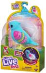 Moose Little Live Pets Papagáj, Hangrögzítő Funkcióval - Tweet Twinkle