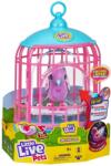 Moose Little Live Pets Papagáj Kalitkában Hangrögzítő Funkcióval - Polly Pearl