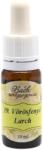 Bach Bach virágterápia, 10 ml - Vörösfenyő, az önbizalom virága - 19-es