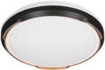 Activejet AJE-PETRUS 24W
