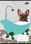 Victoria Füzet, tűzött, A5, vonalas, 32 lap, 2. osztály, COOL BY VICTORIA "Bath", "16-32 (ISVFC91) - onlinepapirbolt