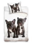 Carbotex Kutyás - french bulldogs ágyneműhuzat szett 140 x 200 + 70 x 90 cm (NL211084-PP)