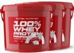 Scitec Nutrition 100% Whey Protein Professional - 3x5000 G/ 5 kg (HG)