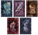 TOP 2000 Fairy Tail Story A5 60 lap vonalas füzet (400182441) - officedepot