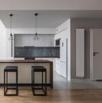 REGNIS LUXAR, radiátor 290x1000mm, 50mm-es központi csatlakozóval, 438W, matt fehér (RAL 9003), LUXAR100/29/D50/FEHÉR (LUXAR100/29/D50/WHITE)