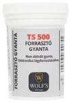 Home TS 500/30 forrasztógyanta, 30 g, lágyító adalékot tartalmazónfolyósító gyanta, finom elektronikai forrasztási munkákhoz, savmentes - dellaprint